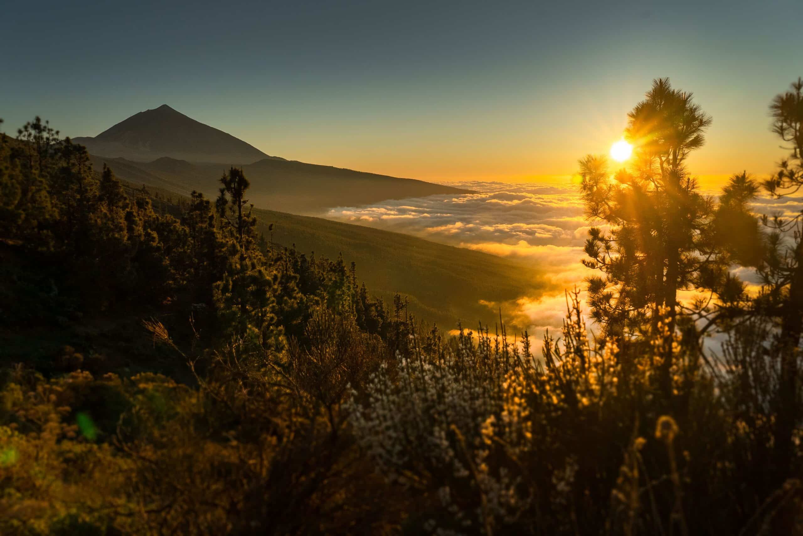 El Teide sobre el mar de nubes visto desde Las Cañadas